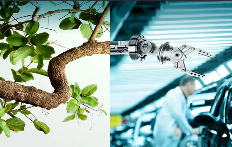 Sustentabilidade na Indústria: O Papel da Automação e das Instalações Eficientes